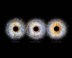 Xavier MARTINO - STUDIO MARTINO